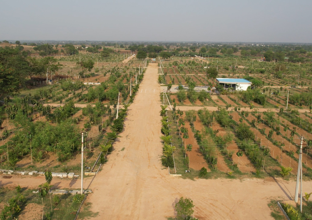 Beautiful Farm Layout 1
