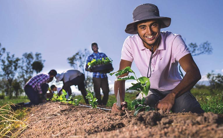 Organic Farming Activity